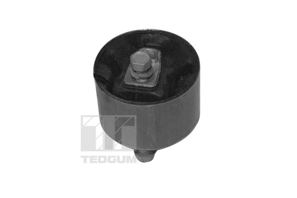 TEDGUM 00349814 Mounting, engine