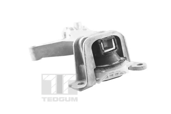 Mounting, engine TED61737