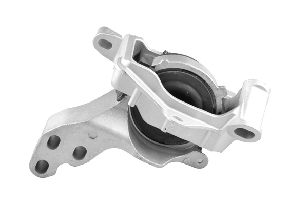 TEDGUM TED96317 Mounting, engine