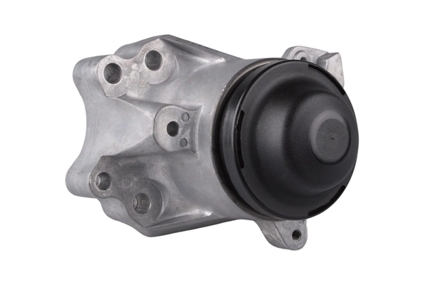 TEDGUM TED17586 Mounting, engine