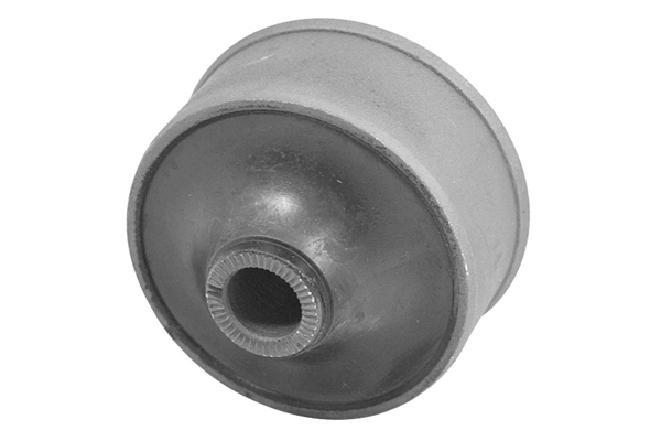 Mounting, control/trailing arm TED60987