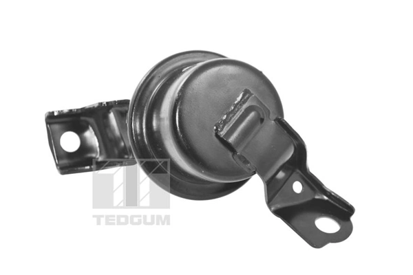 TEDGUM TED11362 Mounting, engine