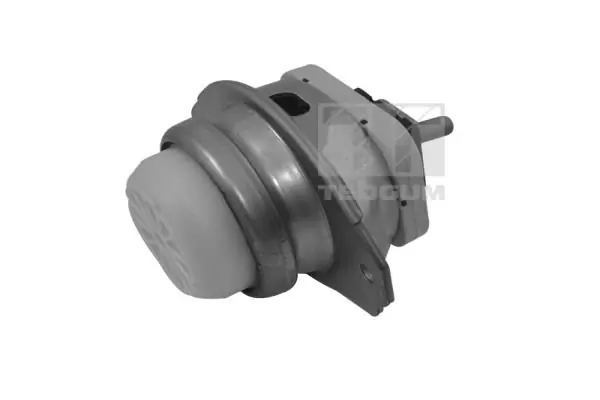 TEDGUM TED44341 Mounting, engine