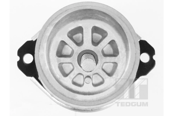 Mounting, engine 00728486