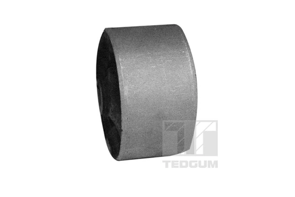 TEDGUM 00289581 Mounting, differential