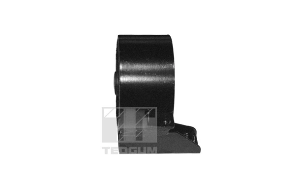 TEDGUM 00651904 Mounting, engine
