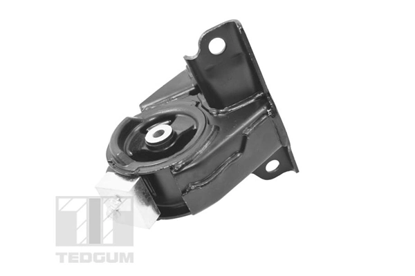 TEDGUM TED38982 Mounting, manual transmission support