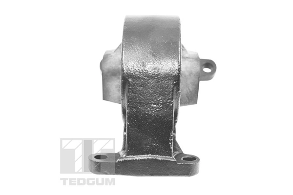 TEDGUM TED11987 Mounting, engine