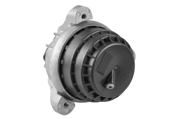 TEDGUM TED89787 Mounting, engine