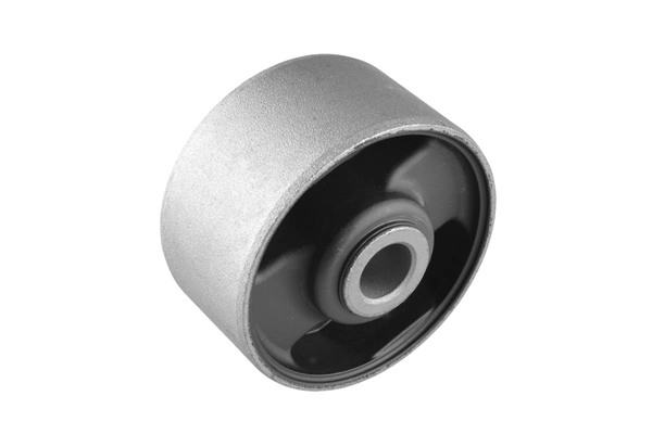 Mounting, differential 00441260