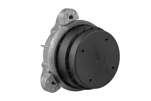 Mounting, engine TED19507