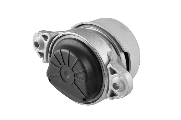 Mounting, engine TED18700