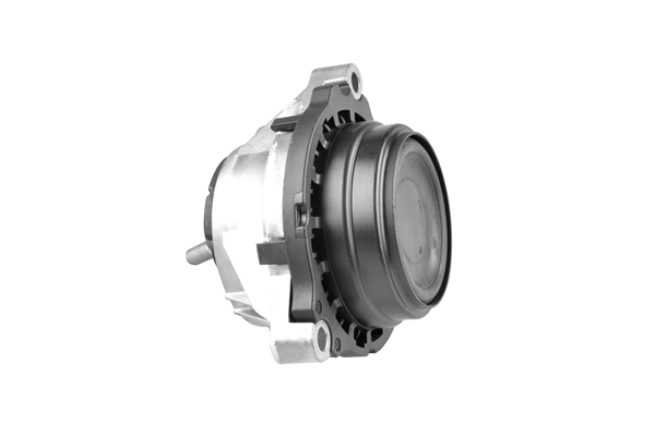 TEDGUM TED11139 Mounting, engine