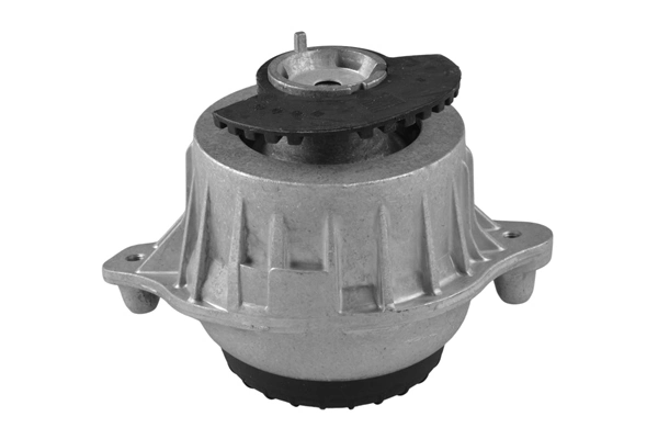 Mounting, engine TED25884