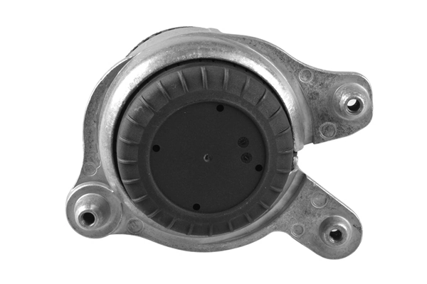 TEDGUM TED53873 Mounting, engine
