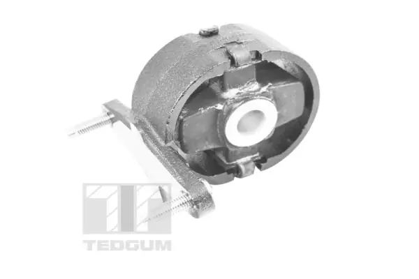 Mounting, engine TED26769
