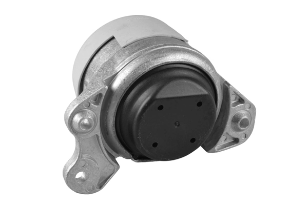 TEDGUM TED93160 Mounting, engine