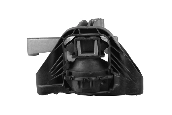 Mounting, engine TED50849