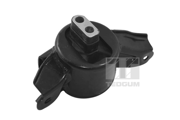 TEDGUM TED16987 Mounting, engine
