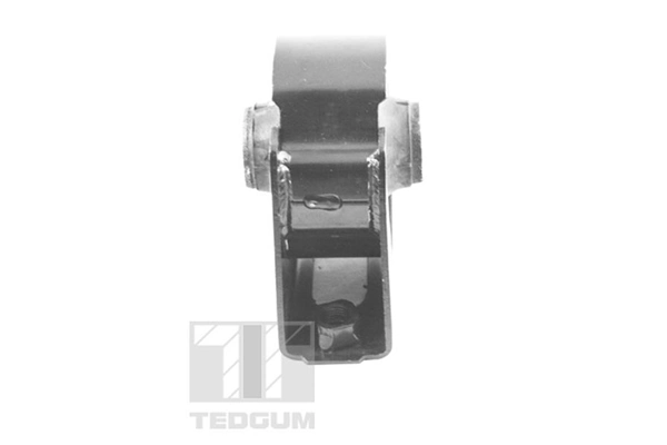 TEDGUM TED16223 Mounting, engine