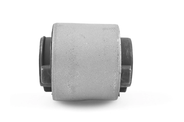 Mounting, control/trailing arm TED66189