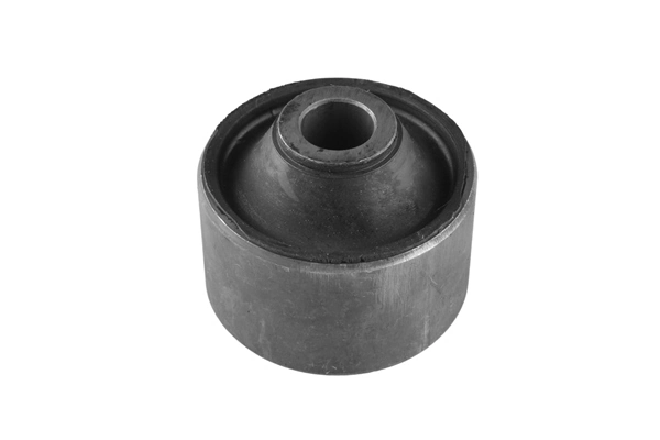 Mounting, control/trailing arm 00220665