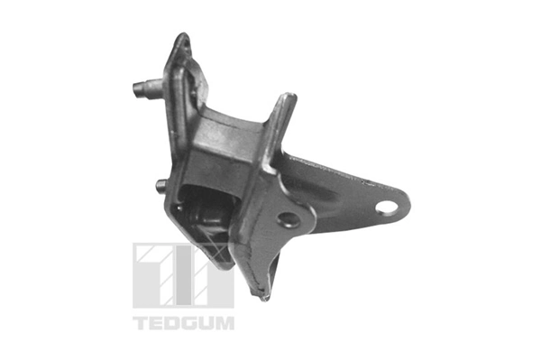 TEDGUM TED97156 Mounting, engine