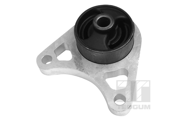 Mounting, differential 01164615