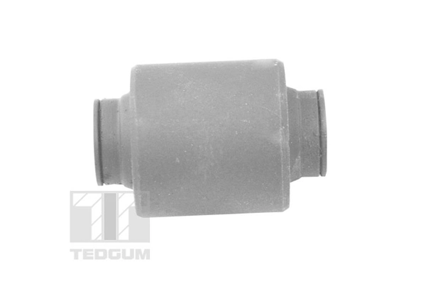 Mounting, control/trailing arm TED12066