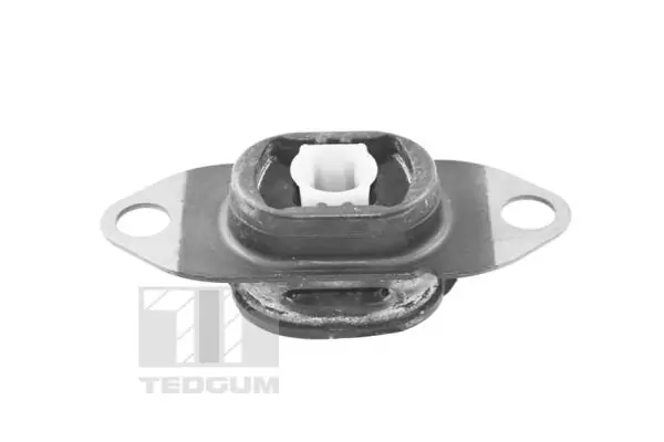 TEDGUM TED46913 Mounting, engine