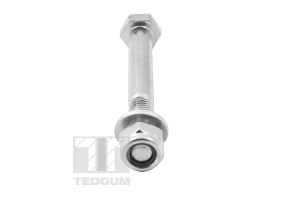 TEDGUM TED56233 Screw
