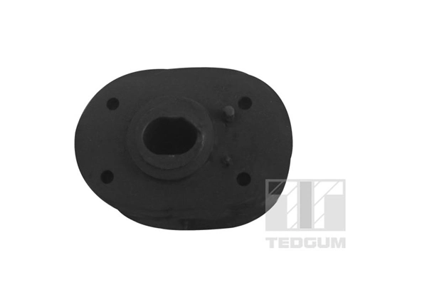 TEDGUM 00506025 Mounting, engine