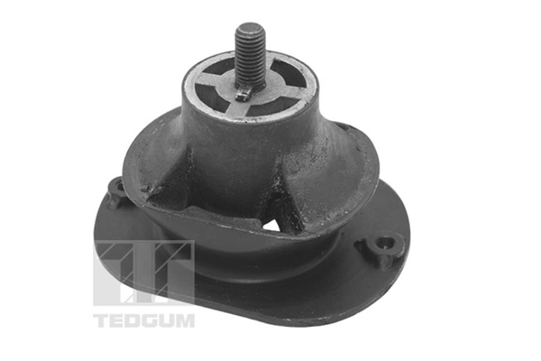 Mounting, engine TED40521