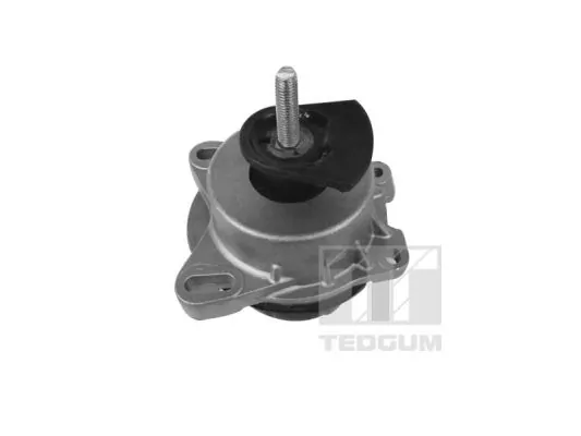 TEDGUM 00228943 Mounting, engine