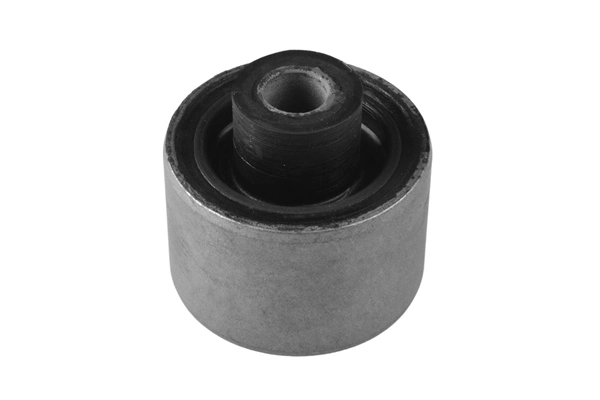 Mounting, control/trailing arm 01136134