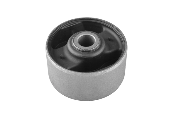 Mounting, differential 00441260