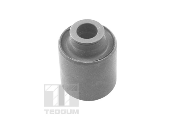 Mounting, control/trailing arm TED12066