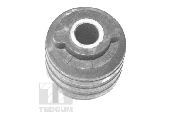 Mounting, control/trailing arm 00391173