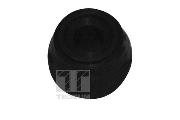TEDGUM 00419118 Mounting, control/trailing arm
