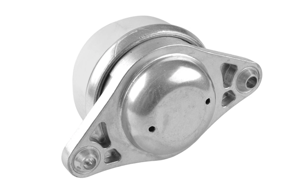 Mounting, engine TED25563