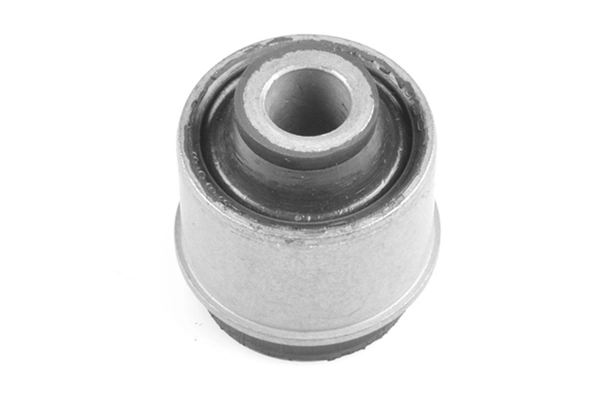 Mounting, control/trailing arm 00670162