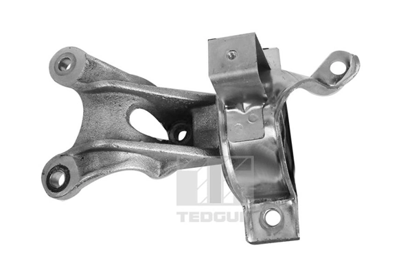 TEDGUM 00219142 Mounting, engine