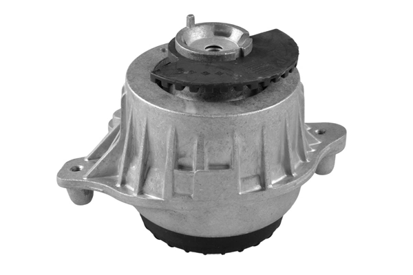 Mounting, engine TED51911