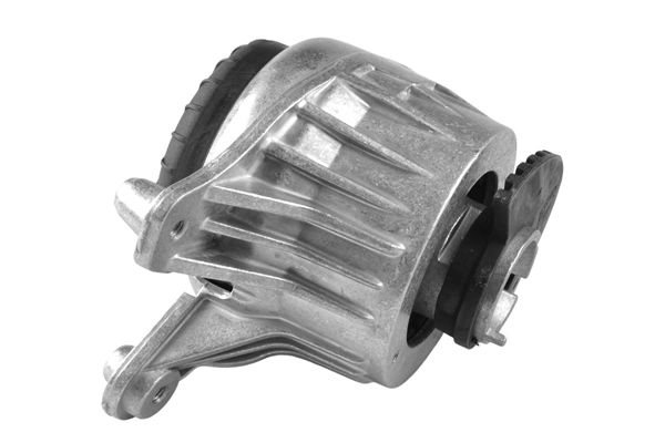 TEDGUM TED53873 Mounting, engine