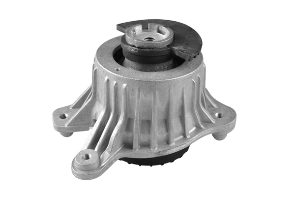 Mounting, engine TED98110