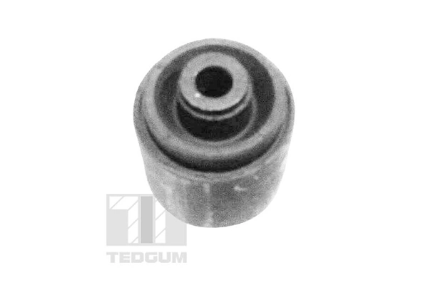 Mounting, control/trailing arm 00089758