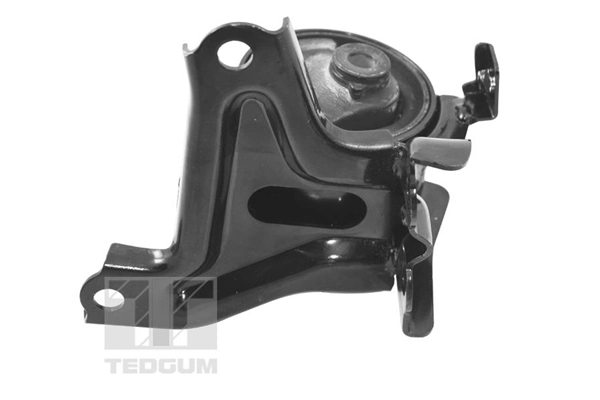 TEDGUM TED40055 Mounting, engine
