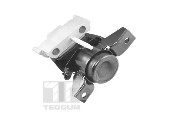 Mounting, engine TED13922