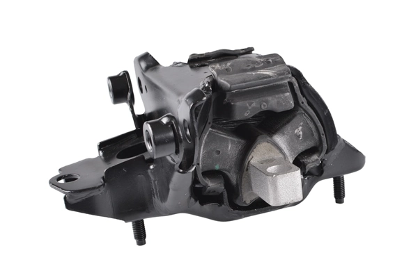 TEDGUM TED99919 Mounting, engine