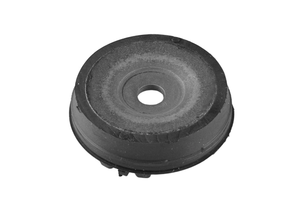 TEDGUM TED68169 Mounting, radiator